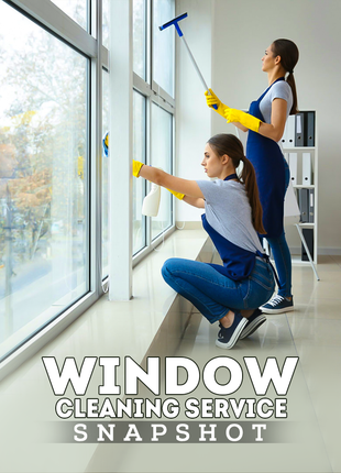 Window Cleaning Service Snapshot