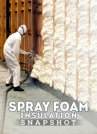 Spray Foam Insulation Snapshot