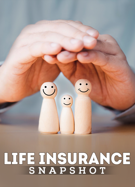 Life Insurance Snapshot