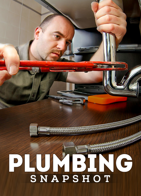Plumbing Snapshot