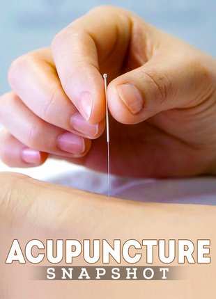 Acupuncture Snapshot