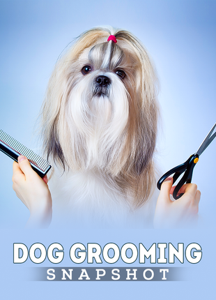 Dog Grooming Snapshot