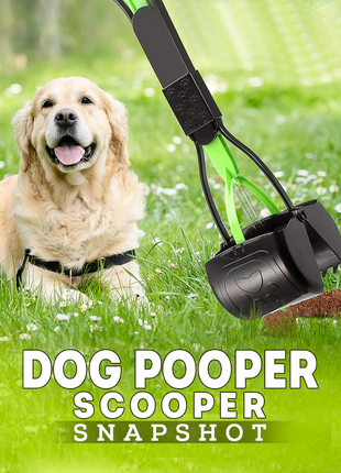 Dog Pooper Scooper Snapshot