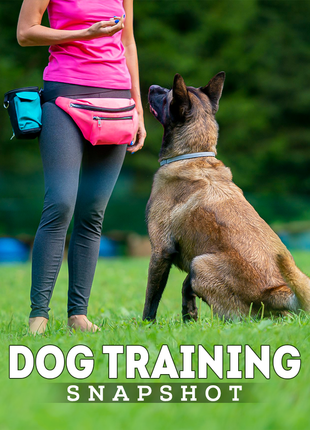 Dog Training Snapshot