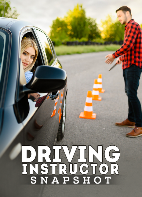 Driving Instructor Snapshot