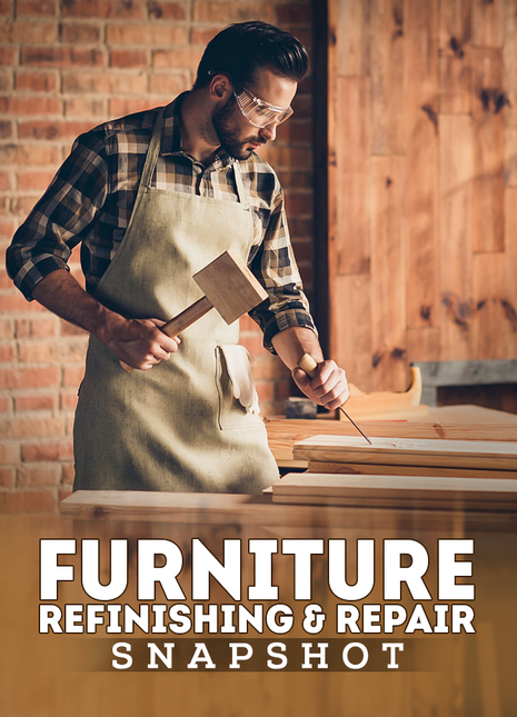 Furniture Refinishing & Repair Snapshot