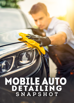 Mobile Auto Detailing Snapshot