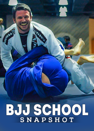 BJJ School Snapshot