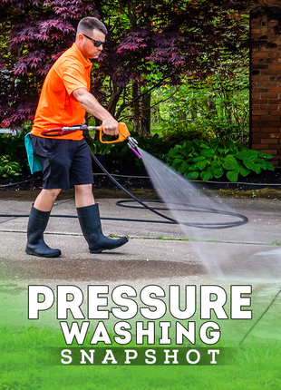 Pressure Washing Snapshot