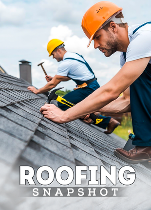 Roofing Snapshot