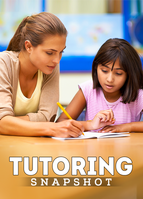 Tutoring Snapshot