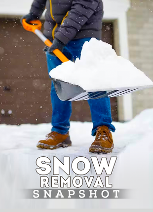 Snow Removal Snapshot