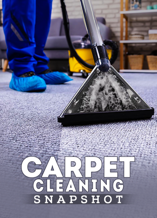 Carpet Cleaning Snapshot